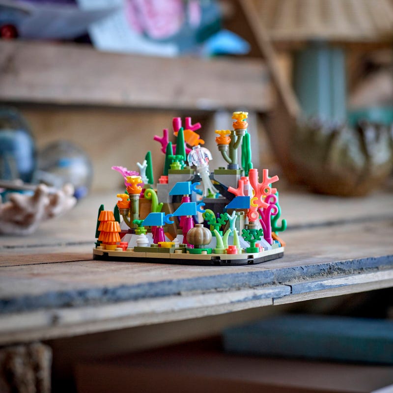 Coral Reef Diorama