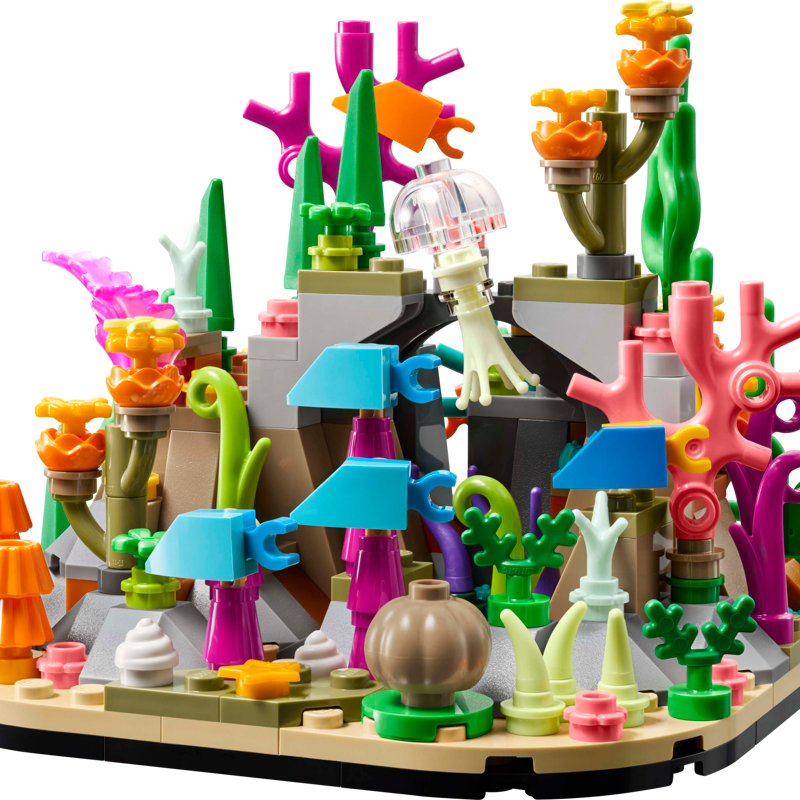 Coral Reef Diorama
