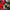LEGO® Technic Ducati Panigale V4 R