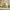 LEGO® Friends™ Panda Sanctuary Animal Care