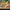 LEGO® Friends™ Music Store & Apartment