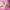 LEGO® Friends™ Costume Party with Unicorn & Fairy