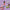 LEGO® Friends Advent Calendar 2025