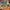 LEGO® Friends Advent Calendar 2025