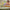 LEGO® Friends™ Plant Café & Flower Shop