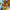 LEGO® Friends™ Family Vacation Beach Resort