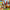 LEGO® Friends™ Family Vacation Beach Resort