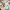LEGO® Editions McLaren Mastercard F1® Team Lando Norris Helmet