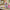 LEGO® Disney™ Mickey & Friends: Minnie's Pet Hotel