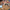 LEGO® | Disney Sally’s Flowerpot