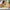 LEGO® | Disney and Pixar Kevin & Dug