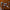 LEGO® Icons Douglas™ DC-3™ PAN AM® Airliner