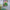 LEGO® Wicked Emerald City Wall Art