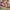LEGO® Super Mario™ Mario Kart™ – Wario & King Boo