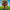 LEGO® Ideas Tree House