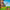 LEGO® Ideas Tree House