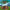 LEGO® Ideas Tree House