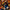 LEGO® Ideas Tree House