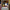 LEGO® Disney and Pixar WALL-E and EVE