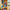LEGO® Creator 3-in-1 Wild Animals: Tropical Toucan