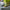 LEGO® Speed Champions Aston Martin Valkyrie AMR Pro and Aston Martin Vantage GT3