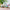 LEGO® Friends™ Botanical Garden
