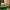 LEGO® Minecraft® Advent Calendar 2025
