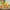 LEGO® Disney™ Moana 2 Kakamora Barge
