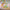 LEGO® Creator 3-in-1 Unicorn Castle