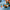 LEGO® City Arctic Explorer Science Lab Truck