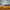 LEGO® City Arctic Explorer Science Lab Truck