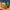 LEGO® City Advent Calendar 2025