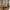 LEGO® Icons The Lord of the Rings™: Rivendell™