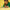 LEGO® Super Mario™ Captain Toad's Camp