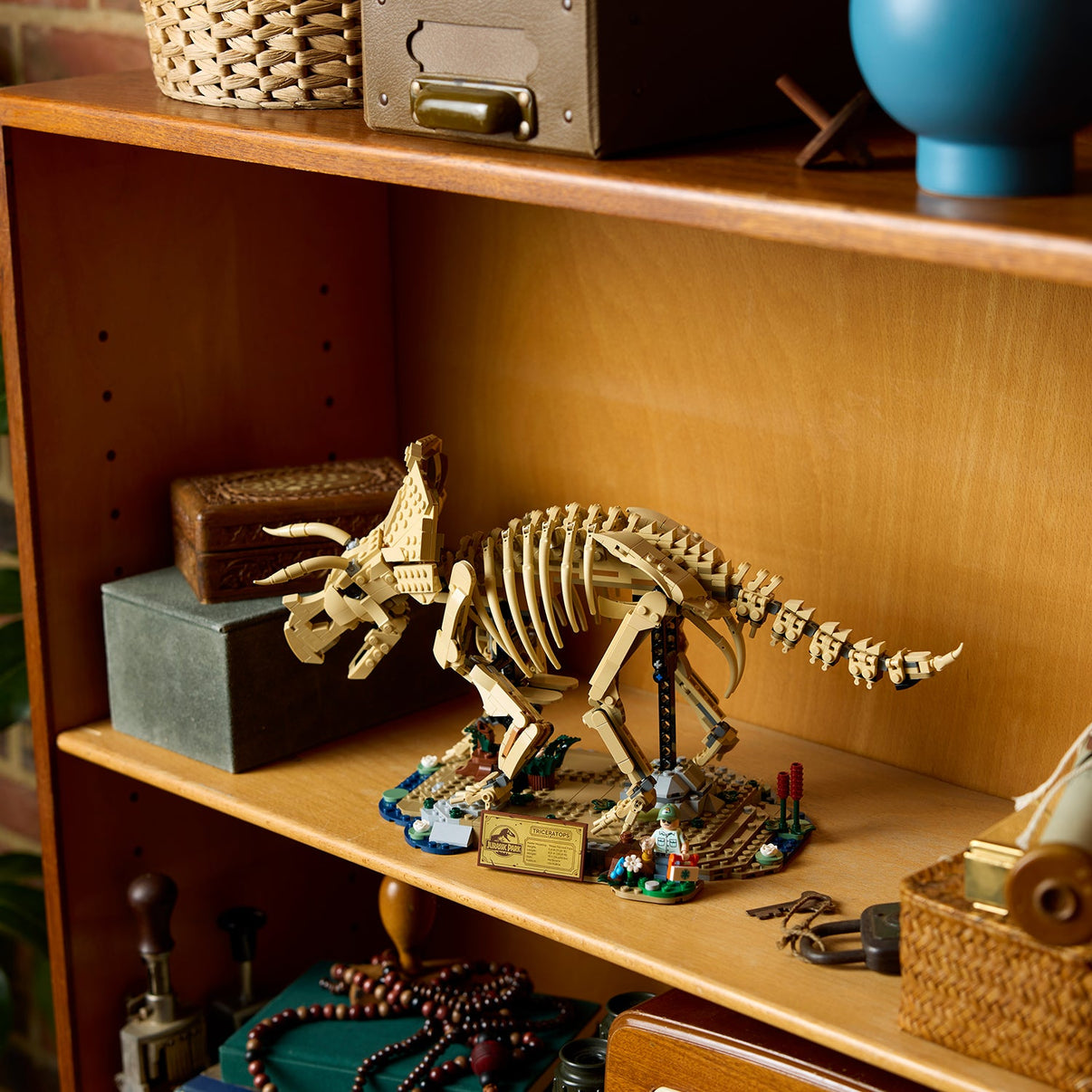 LEGO® Jurassic World Dinosaur Fossils: Triceratops