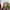 LEGO® Art: The Fauna Collection - Tiger