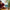 LEGO® Disney and Pixar WALL-E and EVE