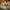 LEGO® NINJAGO® The Temple Bounty