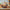 LEGO® NINJAGO® The Temple Bounty
