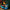 LEGO® Pokémon™ Venusaur, Charizard and Blastoise