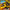 LEGO® Star Wars™ The Force Burner Snowspeeder™