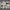 LEGO® Star Wars™ Advent Calendar 2025