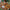 LEGO® Star Wars™ Battle Droid™ with STAP