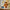 LEGO® Star Wars™ Wicket the Ewok™