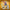 LEGO® Star Wars™ V-19 Torrent Starfighter