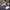 LEGO® Star Wars™ V-19 Torrent Starfighter