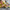 LEGO® Star Wars™ V-19 Torrent Starfighter