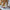 LEGO® Star Wars™ V-19 Torrent Starfighter