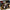LEGO® Star Wars™ V-19 Torrent Starfighter