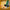 LEGO® Star Wars™ Jango Fett’s Starship